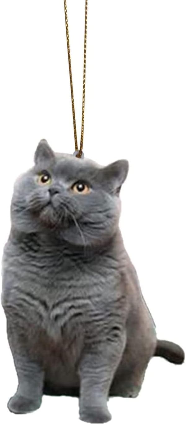 Slitstark Bilbackspegelhänge Levande Katt Bakåtblickande DXGHC