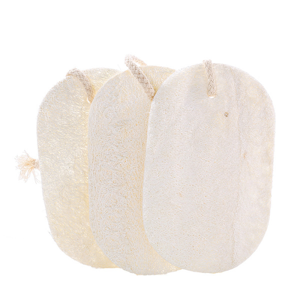 3 st hemstädare skadar inte handen loofah disktrasa pot b