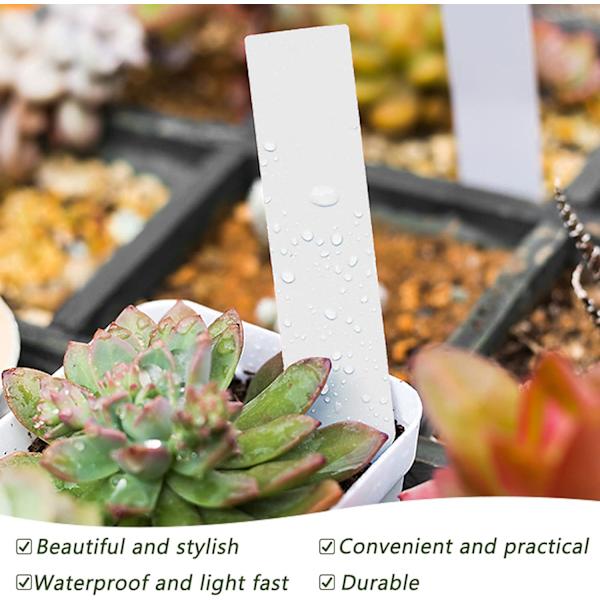100-pack Plastväxtmärken - Vita, 10 cm