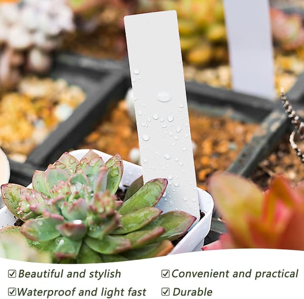 100 Pakk Plastplantetiketter - Hvit, 10cm