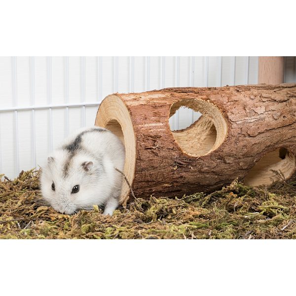 1 Stycke Liten Diameter 2,2 cm/0,86\" L 10 cm/3,9\" Naturlig Trähammare