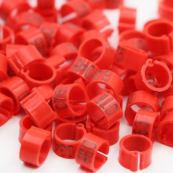100 st/påse 16MM 001-100 Numrerade Plastfågelben Multifärgade DXGHC