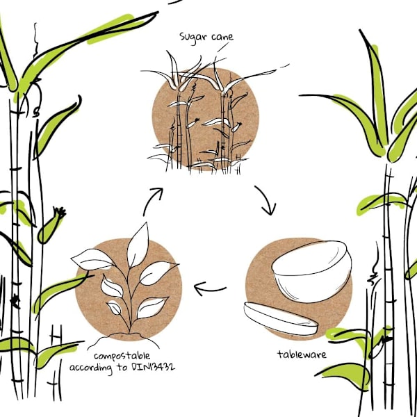 Bagasse-basert servise - 50 stykker misfarget hvite firkantede tallerkener