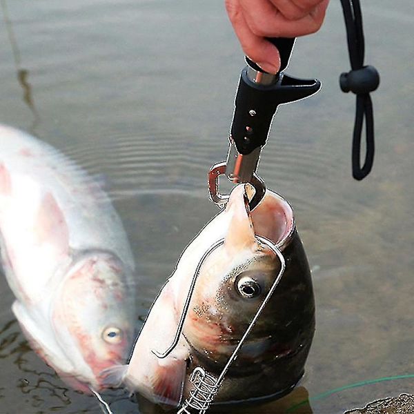 Dww-fisk kontrollenhet Fisketång DXGHC