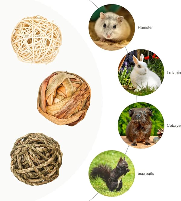 9 stycken smådjurs tuggleksaker, rottingboll, aktivitetsleksaker