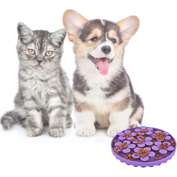 Anti-Gluttonous Hundskål, Långsam Matningsbehållare för Djur Katt/Hund i DXGHC