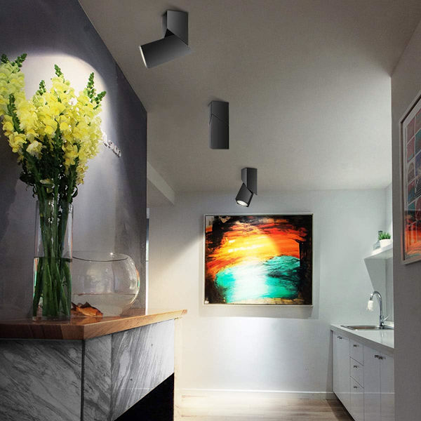 12W Taklampe LED Downlight, Justerbar Lampehode Vinkel