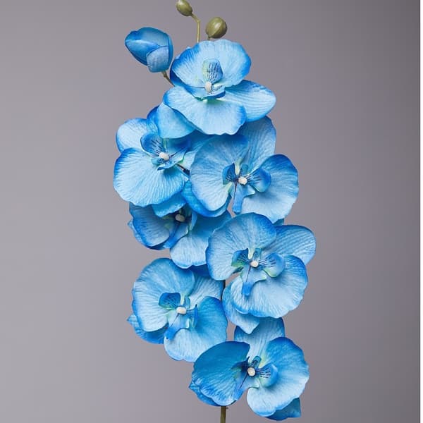 6 kunstige Phalaenopsis blomster af ikke-vævet stof