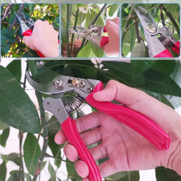 Hagesaks, Hageklippere med SK5 Stål Blad og Erg