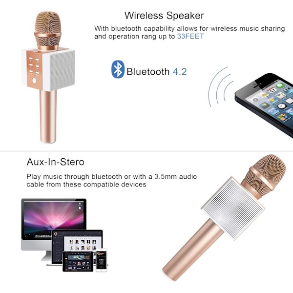Trådlös Bluetooth Karaoke Mikrofon, 10W Större Volym, Mer Bas