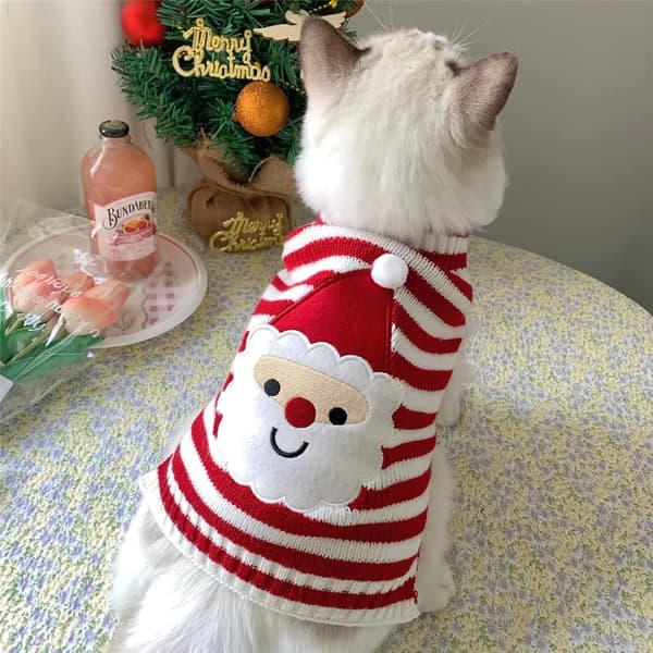 Hunde Trøjer, (Julemanden, Rød - L) Julekostume til DXGHC