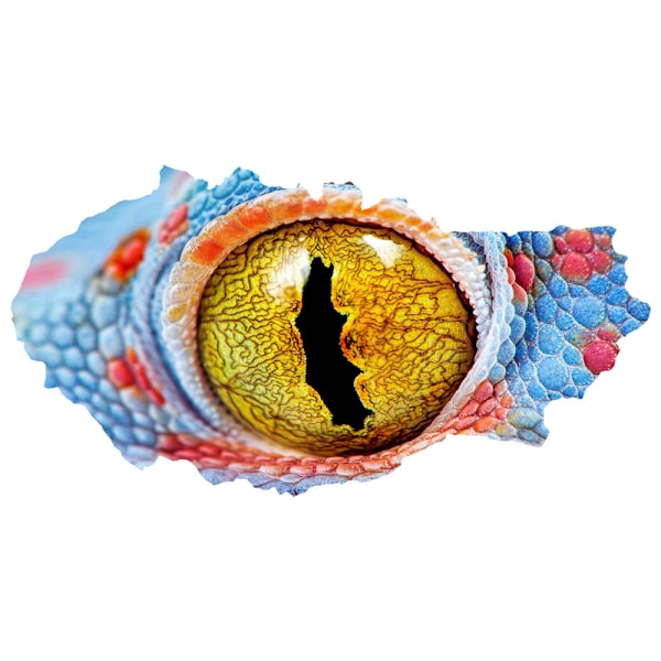 3D Brudt Mur Vision Dinosaur Lizard Øjne Vægsticker Stue R