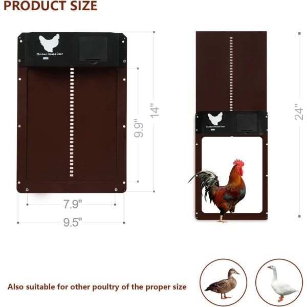 Brun Automatisk Hønsehusdør, Lysfølsom Automatisk Hønsehusdør, Bat