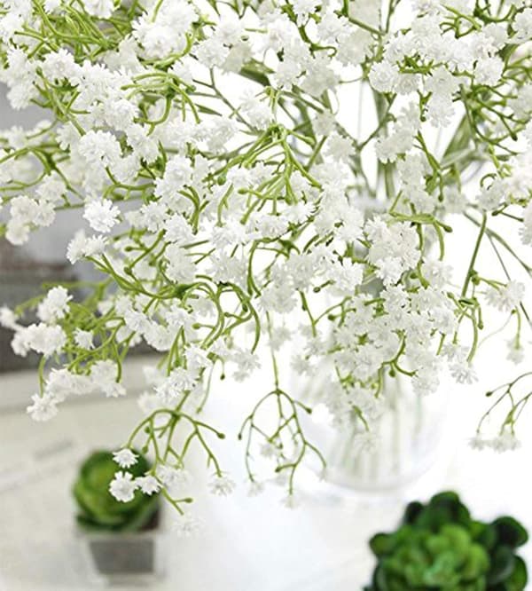 9 kpl setti - Gypsophila - Hääkoriste