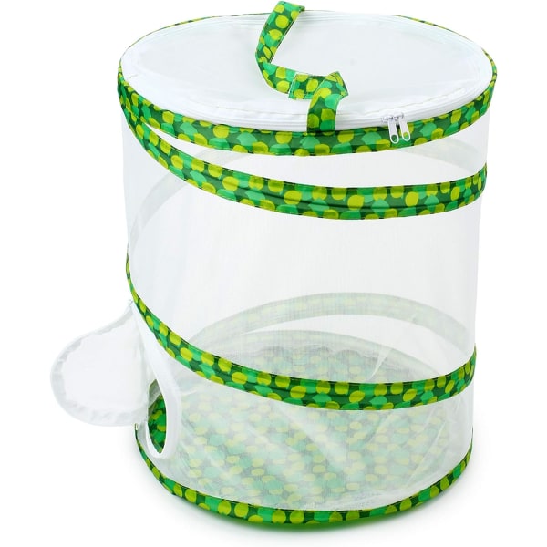 Hyönteis- ja perhoshäkki Terrarium Pop-up 12\" x 14\" korkea