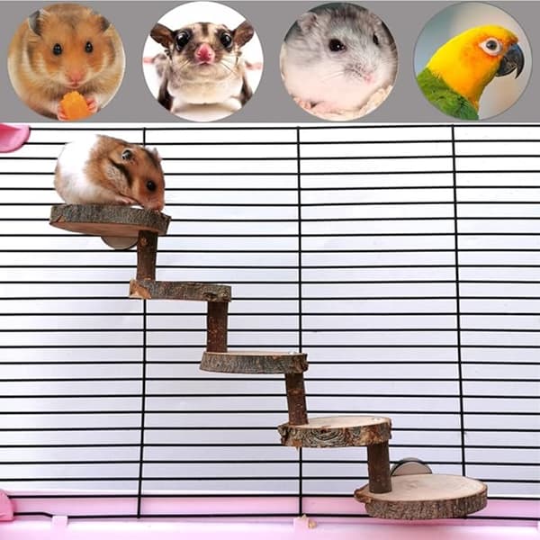 Hamstertandtuggleksak i trä, Hamstertrappa, Hamsterklättring DXGHC