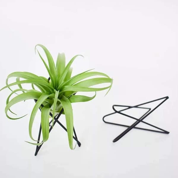(Svart) 2-pack Luftväxtställ Tillandsia Bas Modern Geometrisk Metall