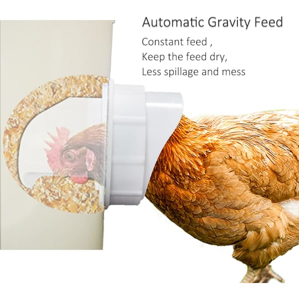 DIY Kyllingefoder Rain Proof Fjerkræfoder Port Gravity Feed Ki