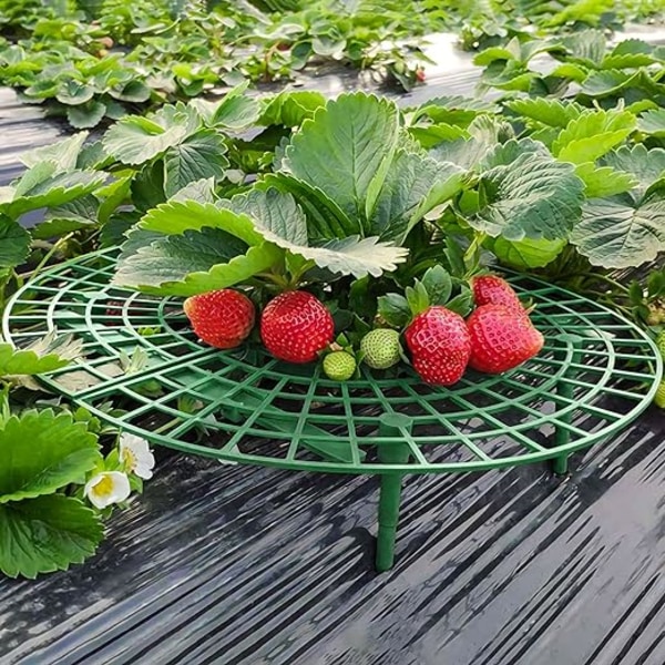 Strawberry Frame Set om 5 - Justerbar Strawberry Holder med DXGHC
