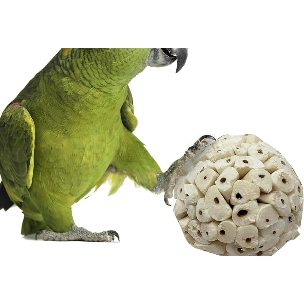 Naturlig Sola Ball Soft Chew Shred Foderande papegoja Amazon, Cockati