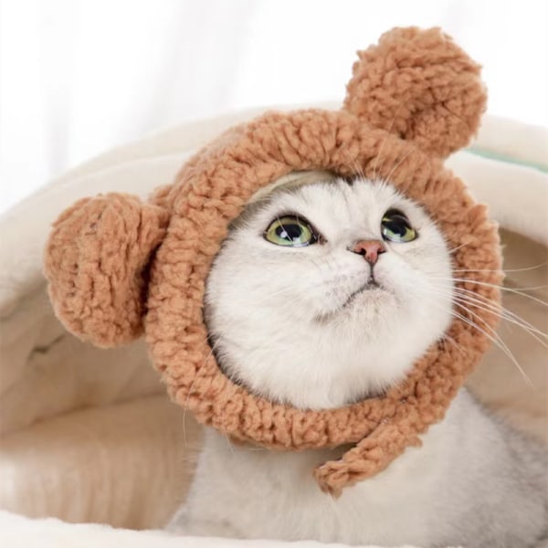2 söta kattkläder varm björnhatt för katter Justerbar mjuk liten