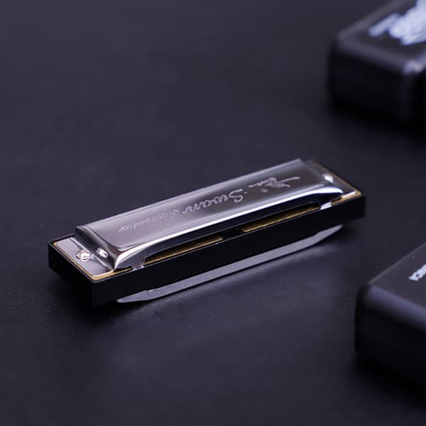 2 stk 10-hulls 20-tone Blues Harmonica for Begynnere - diatonisk