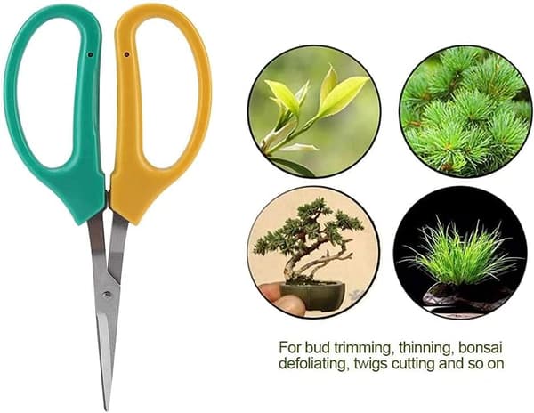 Håndskårne Beskæringssakse Rustfrit Stål Have Bonsai Saks