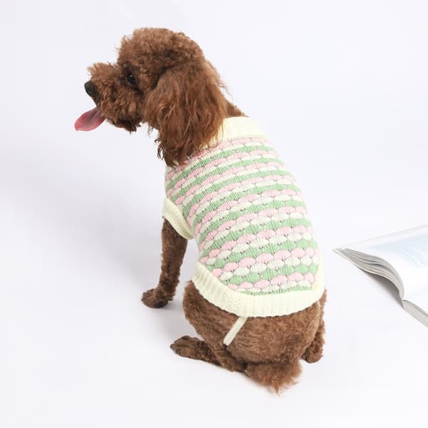 3 nya djurtröjor Nya höst/vinter hundkläder Teddy Boxer tröja