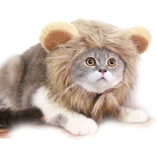 Lion Mane Costume, Small Dog Lion Hat, Lion Mane Peruk, Dog Cat Cos