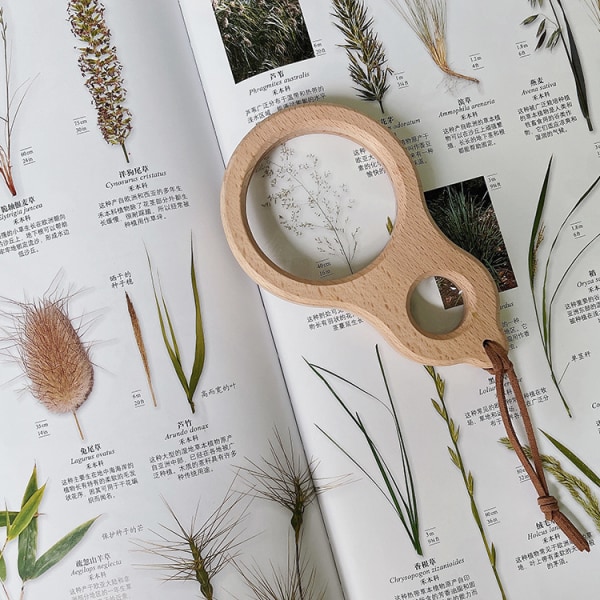 Børnehave Naturvidenskab Introduktion Insekter Herbarium Forstørrelsesglas