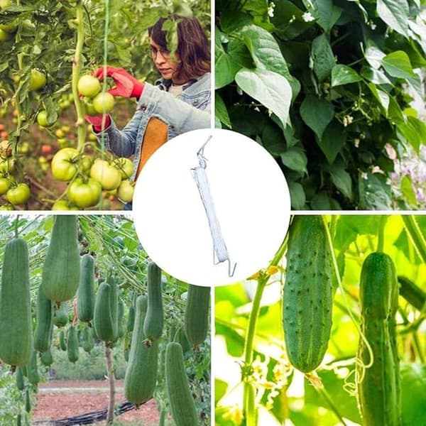 10 kpl Tomaattituki Koukut Tomaatti Koukut 10m Narulla Kasvi G