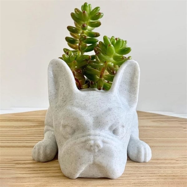 Fransk Bulldog Form Resin Succulent Planter Mini Puppy Plant Planter