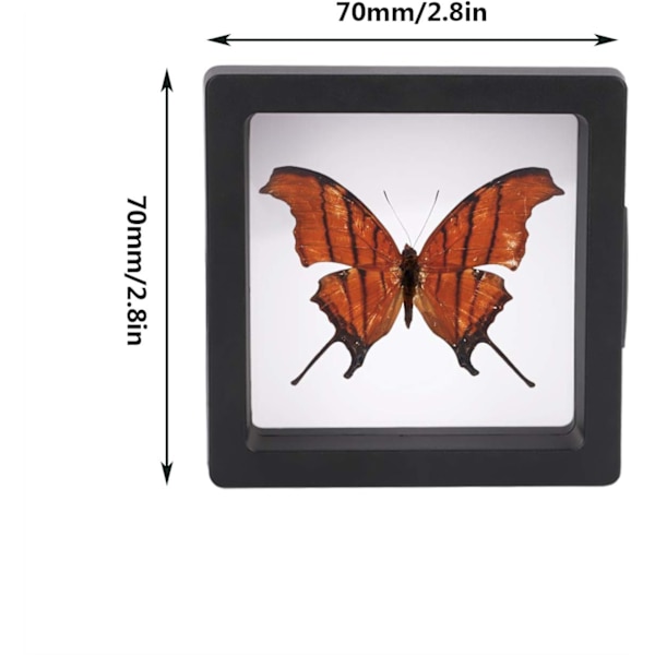 Sort 3D flydende ramme displaybeslag, 20 smykkedisplaybokse