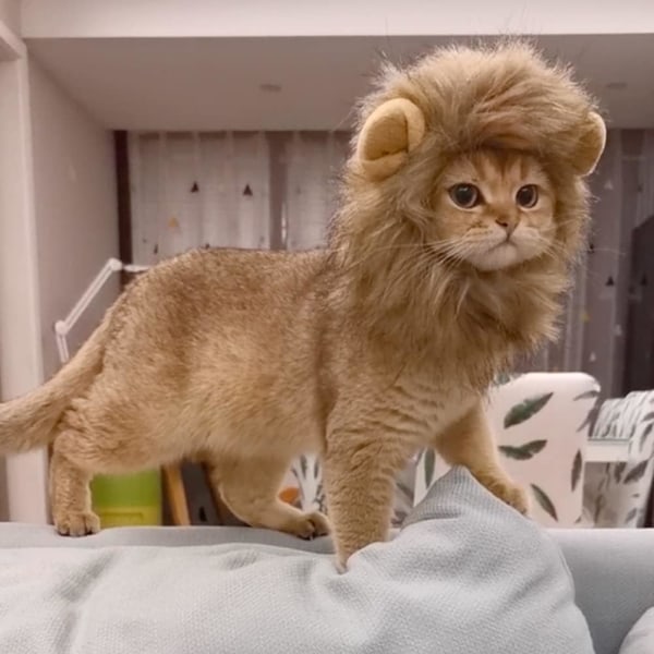 Lion Mane Costume, Small Dog Lion Hat, Lion Mane Peruk, Dog Cat Cos