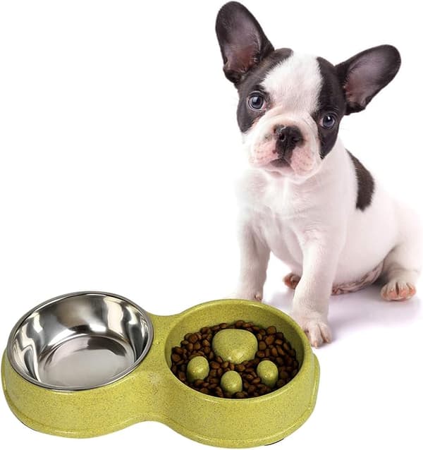 Anti Glutton Hundebolle, Katte- og Hundebolle, Dobbelt Rustfrit Stål DXGHC