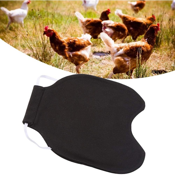 Kycklingvästar, fjäderfäskyddande förkläden, kycklingtröjor, chi