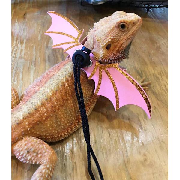 Lizard Sele Harness, 3 Størrelser Læder Ving Lizard Sele med De