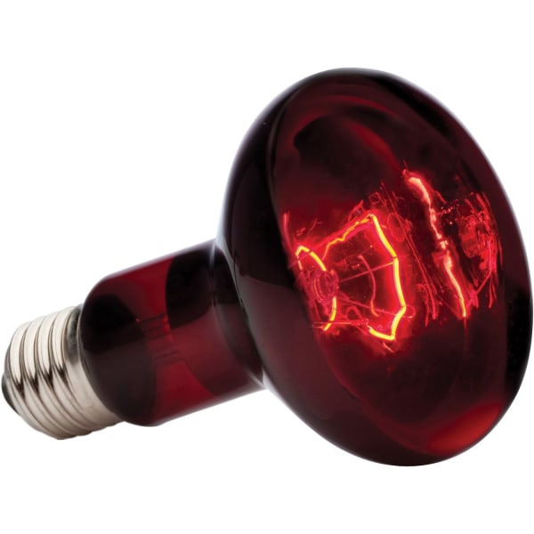 Reptillampe 100W infrarød solbadsplet
