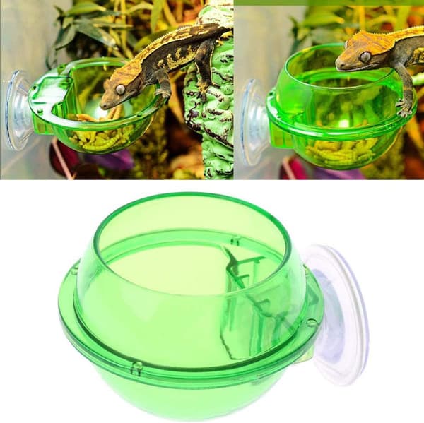 2-delad reptilmatskål med sugkoppsutfodrare