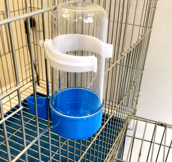 Stor automatisk vanddispenser til papegøjer, vandfodring, fo