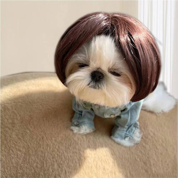 Rolig Hund Cosplay Peruk, Huvudbonad Kläder Leksak, Husdjursdräkter, Katt Dräkt