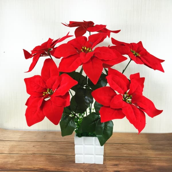 7 stykker juleblomster i julestemning, julestemningsplanter engros