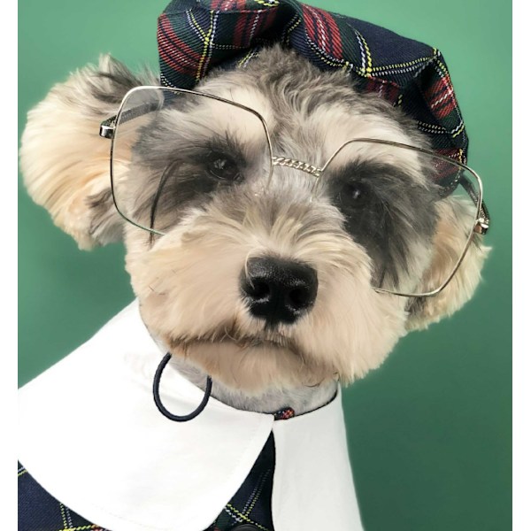 2 st hundkläder, hattar, brittisk stil, söta, Teddy Schn