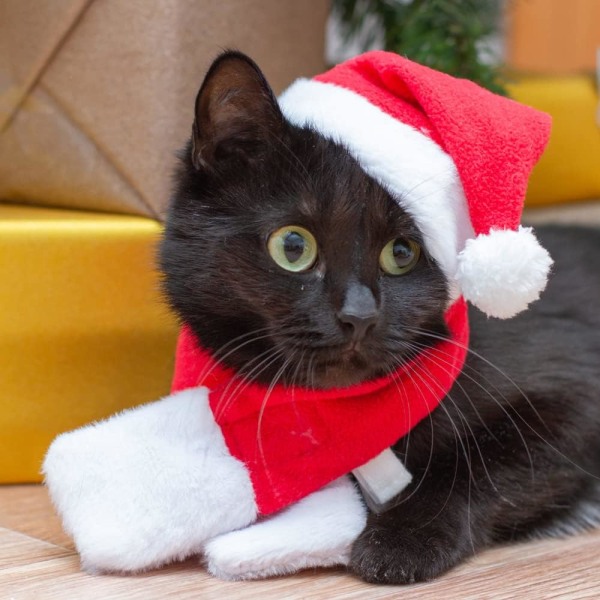 2 stk. Julekostyme for katt, julehatt med skjerf