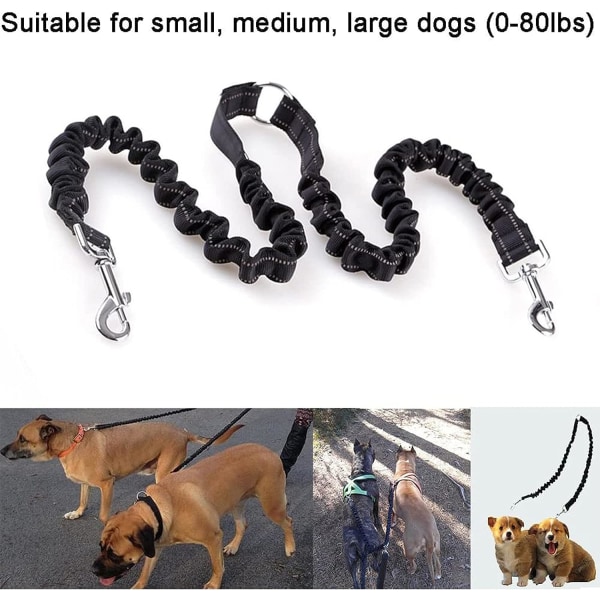 Dubbelkoppel för hund eller husdjur Reflekterande elastiskt material - 360° sh