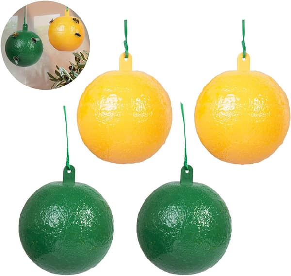 4-pack flugboll fruktfluga citrus stor fruktfluga klibbig boa