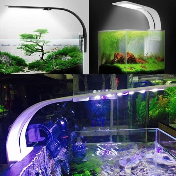 Akvarielampa LED vit och blå nano-klämma för fiskväxter 23-50 cm--