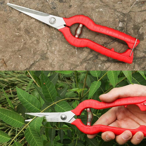 Professionel rustfrit stål lige blad trimmer til blomster