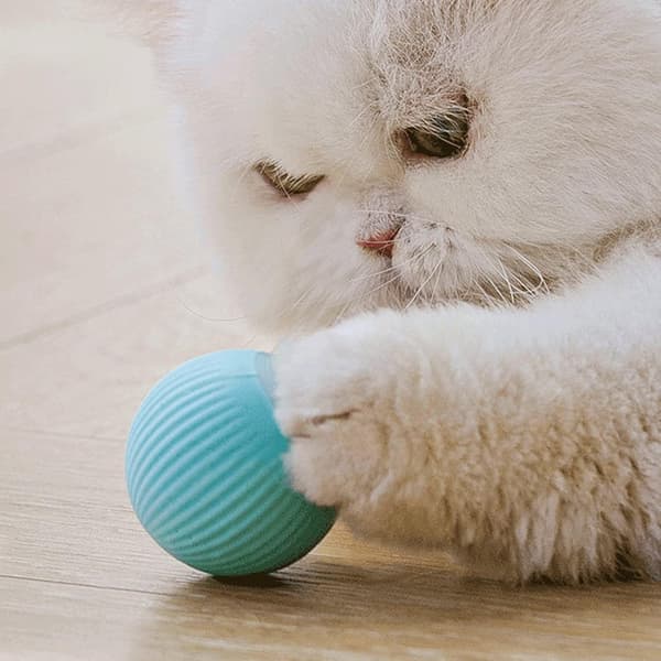 Interaktiv Kattboll Leksak, USB Laddningsbar Interaktiv Kattboll