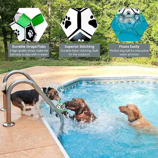2-pack Hundleksaker - Interaktiv Hundboll - Hållbar Uteleksak för